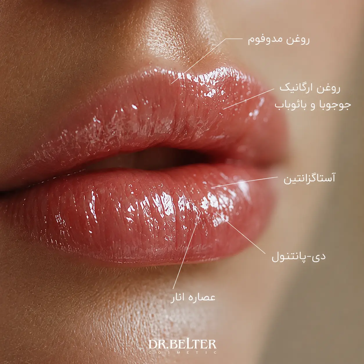 مراقبت تخصصی لب